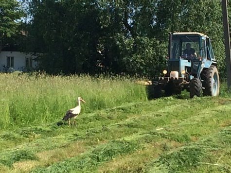 Visit a local Lithuanian village