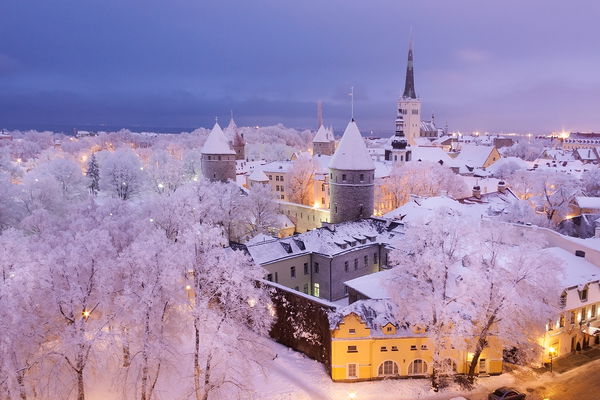 Baltic Capitals Winter Private Tour