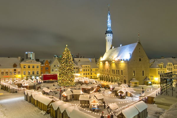 Baltic Christmas Markets Private Tour