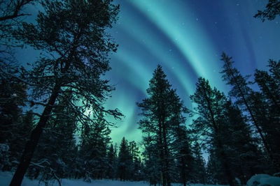 Northern Lights