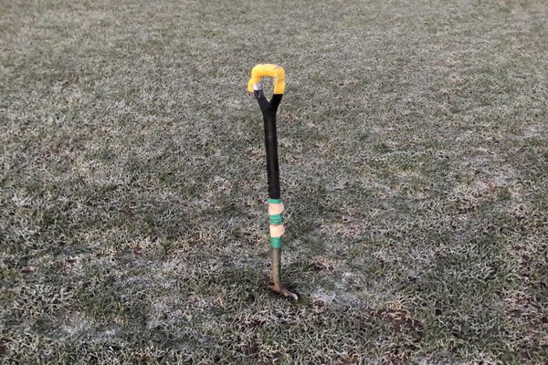 Postponed | Alfeton Town (H) | National League North