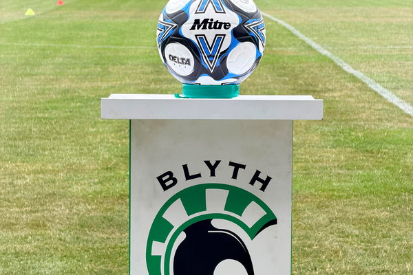 Spartans Seek Community Media Assistant