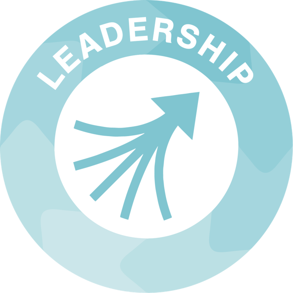 SkillsBuilder Weekly Challenge - Leadership - Castle View Enterprise ...