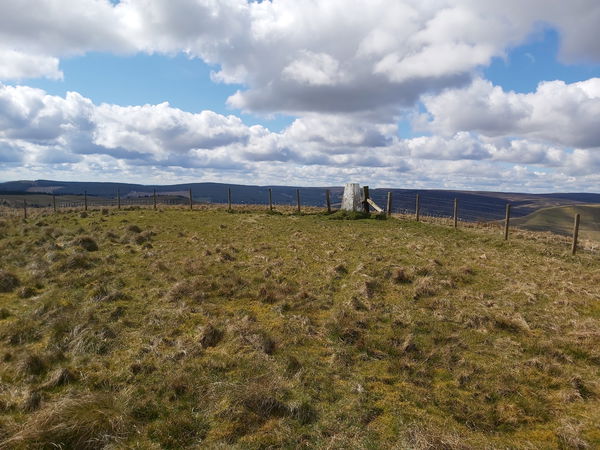 Hungry Law trig point