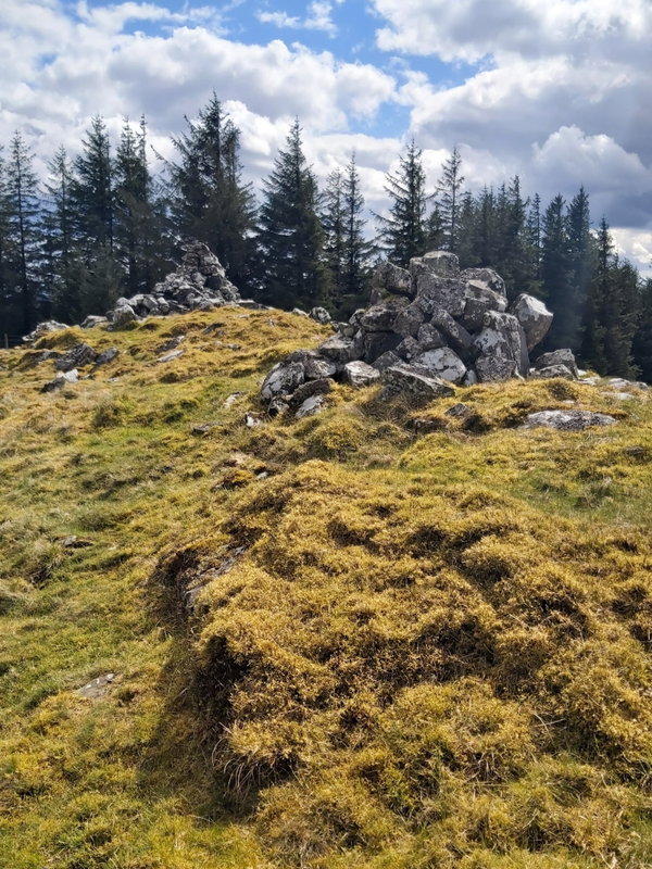 Sandy Pike