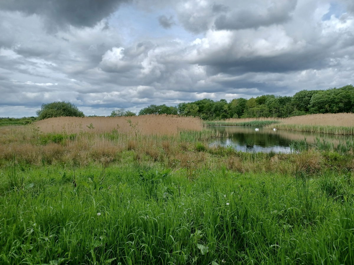 Escape To Durham Meadows Wildlife Sanctuary: Where Nature’s Symphony Plays On