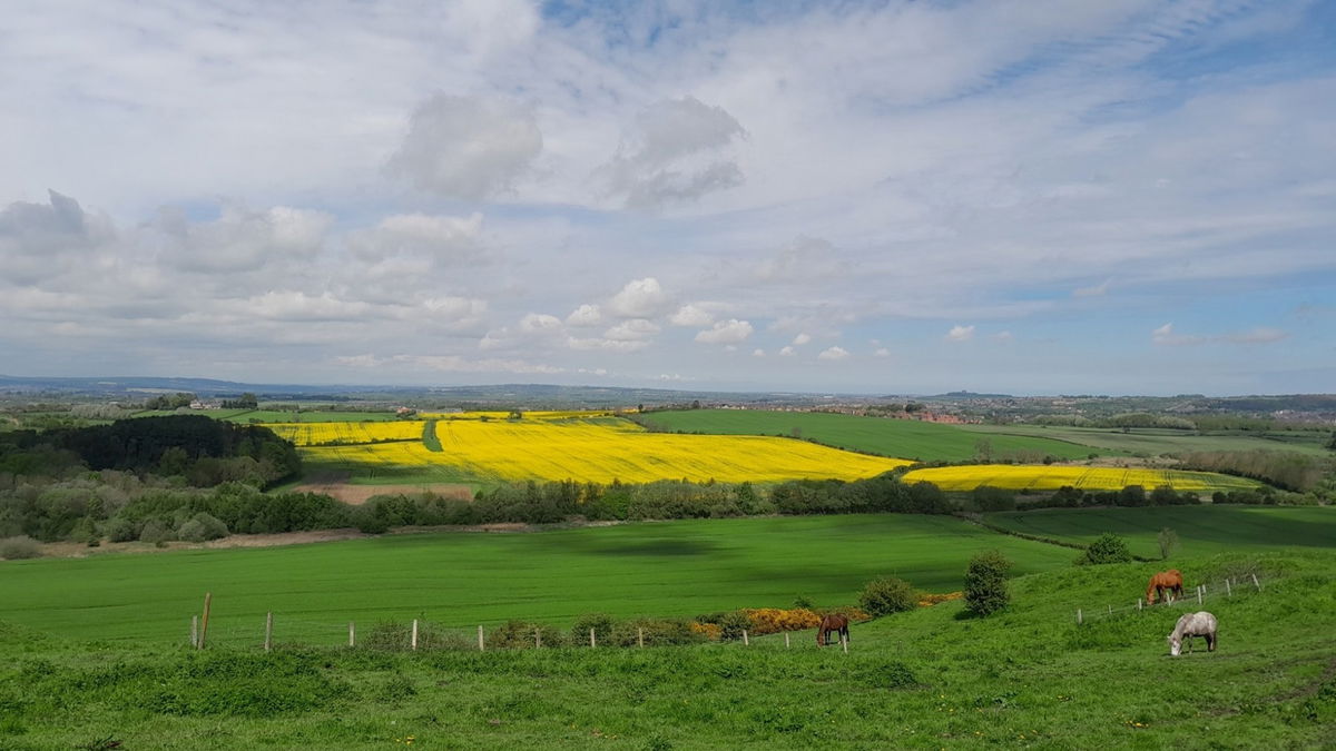 High Moorsley Weather Radar Station in HoughtonleSpring Fabulous North