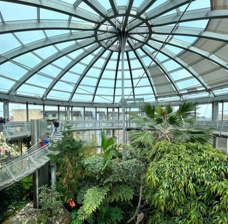 Sunderland Museum and Winter Gardens In Sunderland - Fabulous North