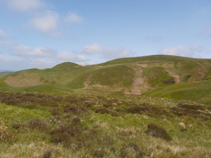 Border Ridger Walk Up Yearning Law, Border Ridge To Windy Gyle In The Cheviots ...