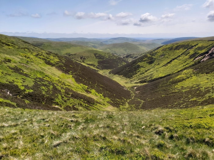 Border Ridger Walk Up Yearning Law, Border Ridge To Windy Gyle In The Cheviots ...