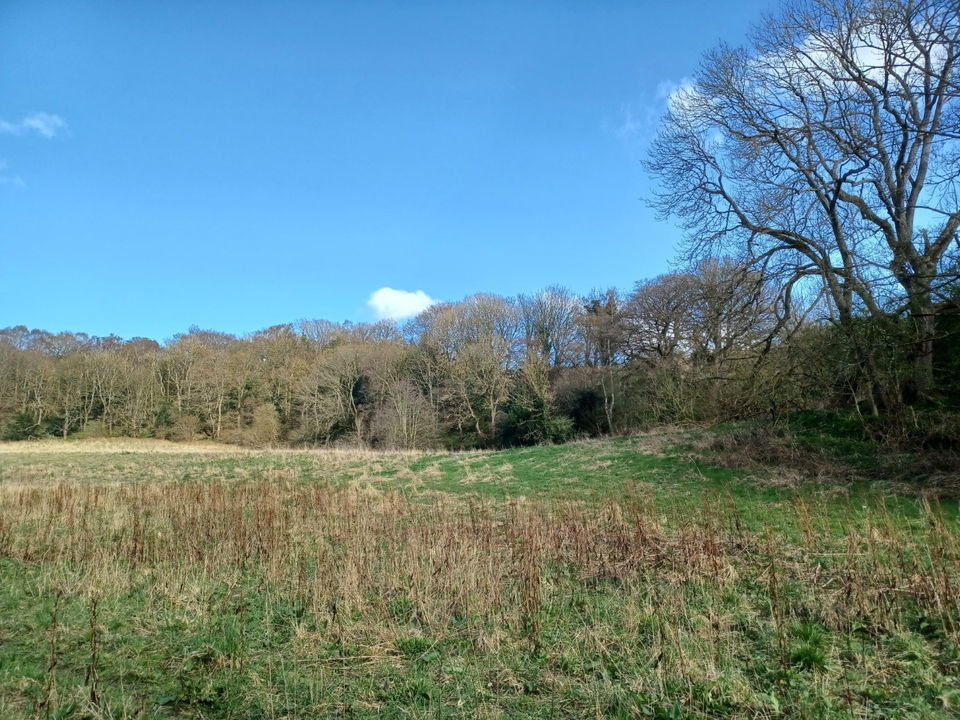 Walk Around Allensford Park In Consett - Fabulous North