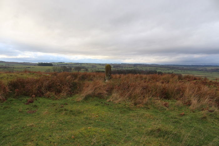 Walk Around Shaftoe Crags In Bolam - Fabulous North