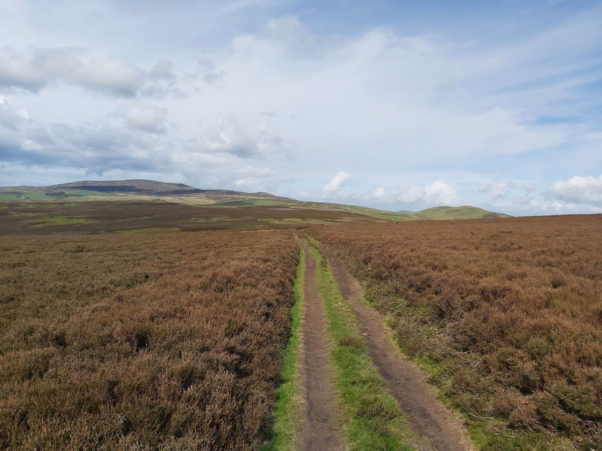 Yeavering Bell And Newton Tors In The Cheviots - Fabulous North