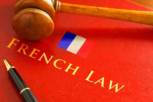 Navigating French Legal Proceedings