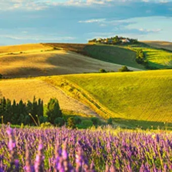 Succession Law & Estate Planning