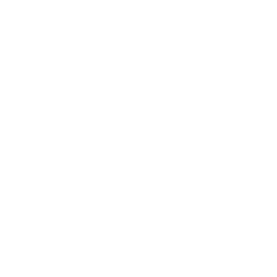 FSB Logo