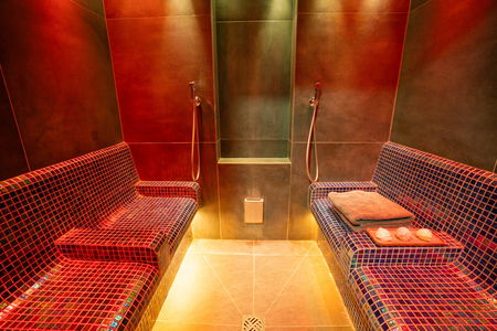 IR Halotherapy Sauna
