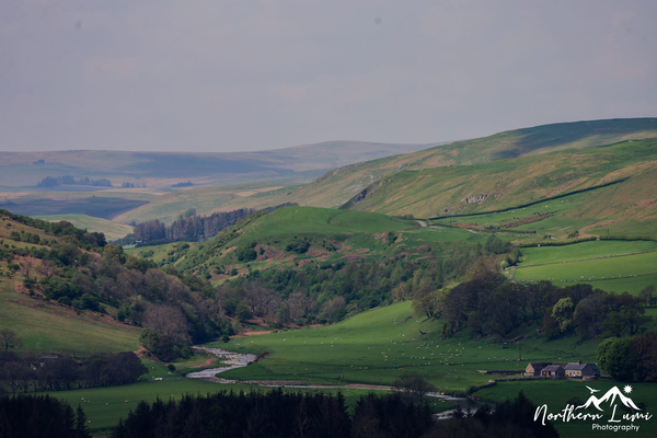 An evening of poetry and music