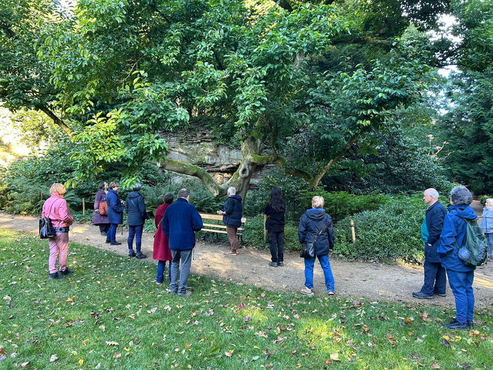 Launch of the Belsay Tree Trail! Rothbury Trees