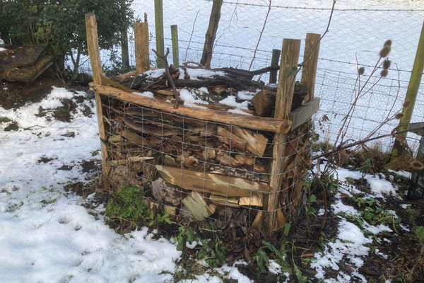 Happy Habitat Piles - and welcome to more diverse life in 2025!