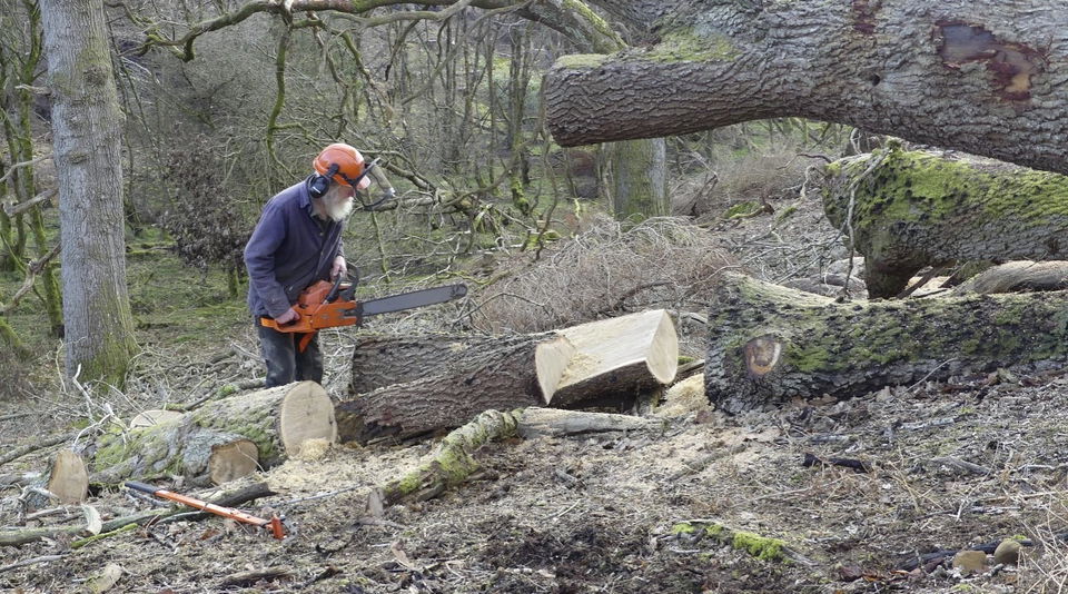 How to turn a tree into a beautiful bench! A photo-essay. - Rothbury Trees