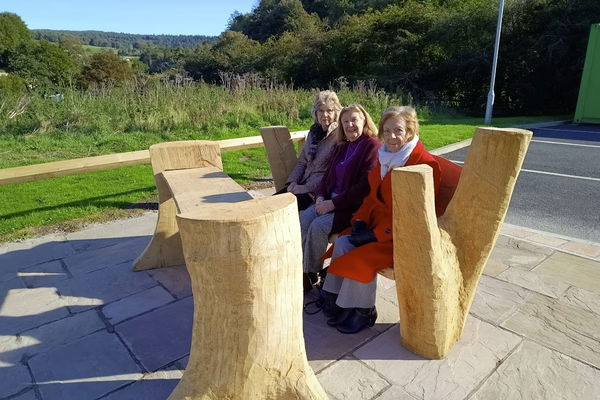 How to turn a tree into a beautiful bench! A photo-essay.