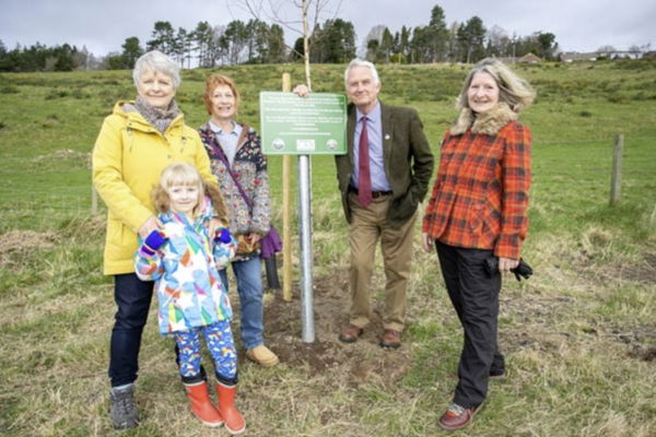 The Rothbury Tree Warden Scheme