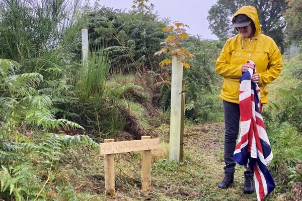 Try our new lovely little tree walk!