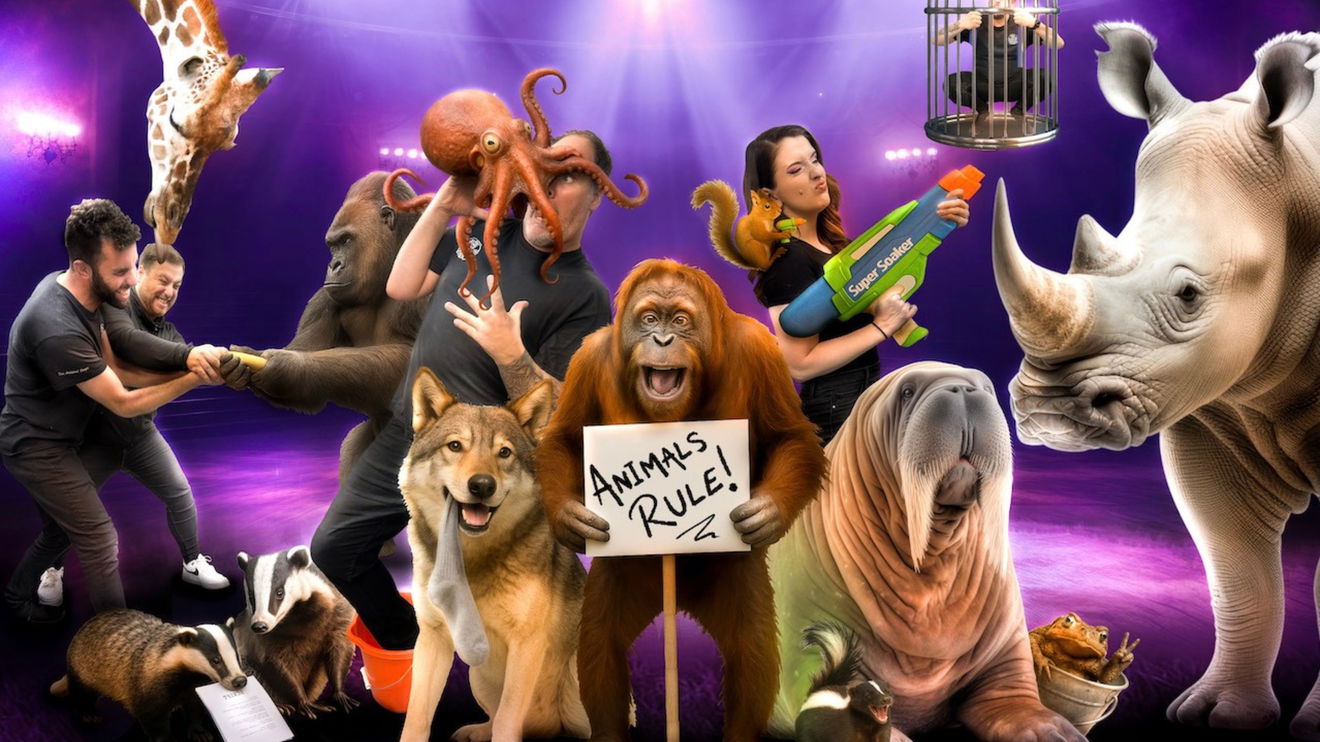 Amazing Animals