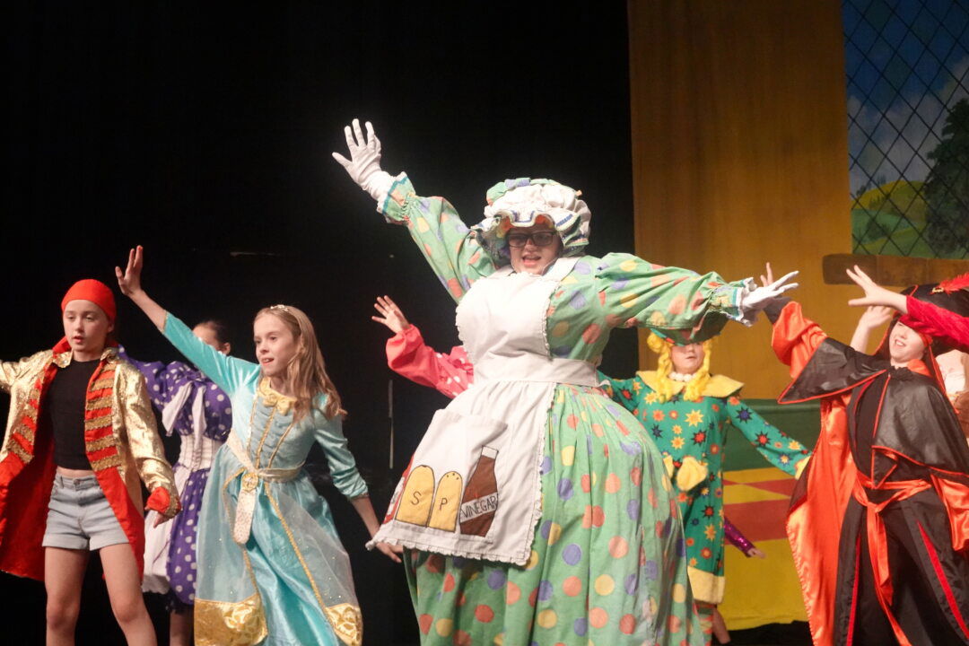 Panto Summer School Performance